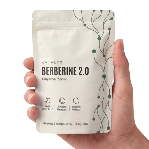 Berberine 2.0 | Dihydroberberine Capsules