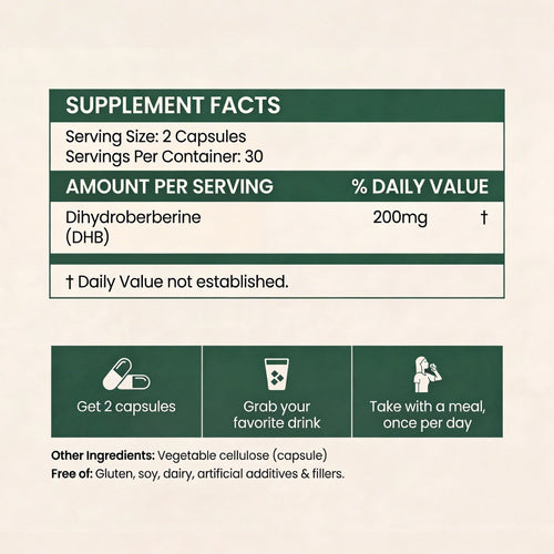 Berberine 2.0 | Dihydroberberine Capsules