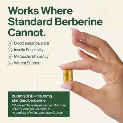 Berberine 2.0 | Dihydroberberine Capsules 200mg